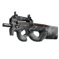 P90 | Ash Wood (Minimal Wear)