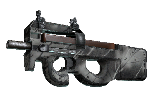 P90 | Ash Wood (Field-Tested)