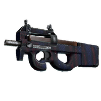 P90 | Teardown (Field-Tested)