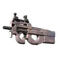 P90 | Wash me (Minimal Wear)