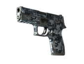 StatTrak™ P250 | Ржавая сталь (После полевых испытаний)