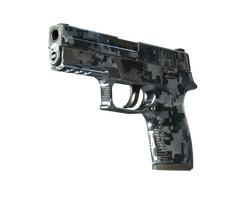 P250 | Steel Disruption