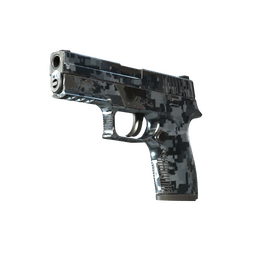 StatTrak™ P250 | Steel Disruption (Field-Tested)