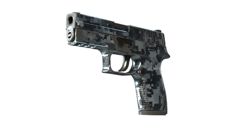 P250 | Steel Disruption (Field-Tested)