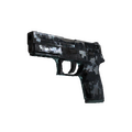 P250 | Steel Disruption (Field-Tested)