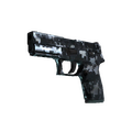 StatTrak™ P250 | Steel Disruption (Minimal Wear)