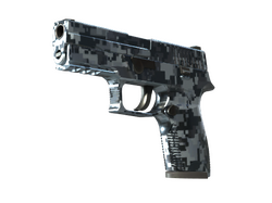 P250 | Steel Disruption