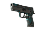 StatTrak™ P250 | Ripple (Battle-Scarred)