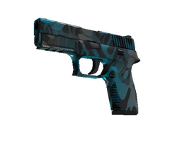 StatTrak P250 | Ripple