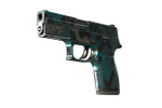 P250 | Ripple (Well-Worn)