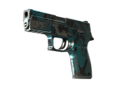 StatTrak™ P250 | Ripple (Well-Worn)