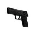 P250 | Dark Filigree (Battle-Scarred)