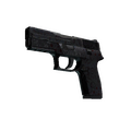 P250 | Dark Filigree (Field-Tested)