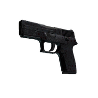 P250 | Dark Filigree (Field-Tested)