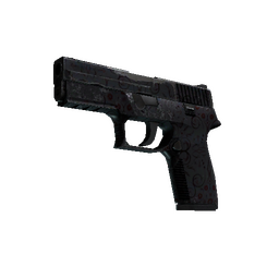 P250 | Dark Filigree (Field-Tested)