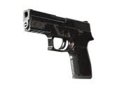 P250 | Dark Filigree (Field-Tested)