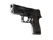 P250 | Metallic DDPAT (Minimal Wear)