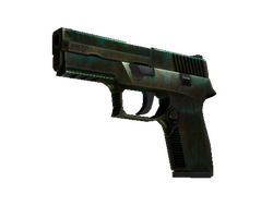 StatTrak P250 | Verdigris