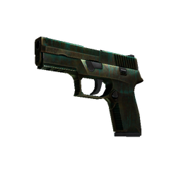 free cs2 skins P250 | Verdigris (Battle-Scarred)