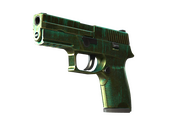 StatTrak™ P250 | Verdigris (Battle-Scarred)