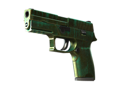 StatTrak P250 | Verdigris