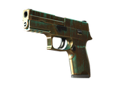 StatTrak™ P250 | Verdigris (Well-Worn)