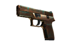 P250 | Verdigris (Factory New)