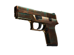 StatTrak P250 | Verdigris