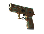 StatTrak™ P250 | Verdigris (Factory New)