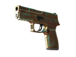 StatTrak P250 | Verdigris