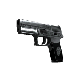 StatTrak™ P250 | Cartel (Factory New)