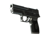 StatTrak™ P250 | Cartel (Well-Worn)