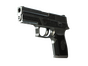 P250 | Cartel