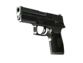 StatTrak™ P250 | Cartel (Battle-Scarred)