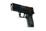 StatTrak™ P250 | Valence (Battle-Scarred)