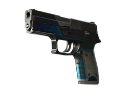 StatTrak P250 | Valence