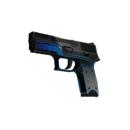 P250 | Valence (Battle-Scarred)