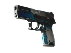StatTrak P250 | Valence