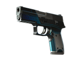 StatTrak™ P250 | Valence (Well-Worn)