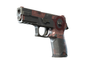 P250 | Constructivist (Field-Tested)