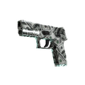 P250 | Franklin (Minimal Wear)