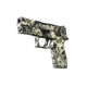 P250 | Franklin (Well-Worn)