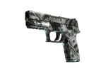 P250 | Franklin (Field-Tested)