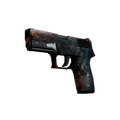 P250 | Supernova (Well-Worn)