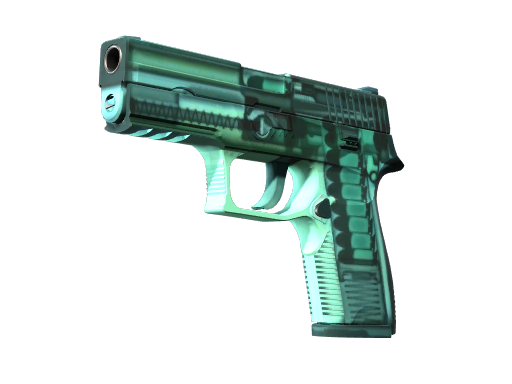 P250 | X-Ray