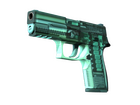 P250 | X-Ray