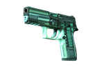 StatTrak™ P250 | X-Ray (Minimal Wear)