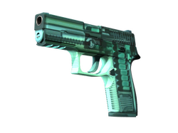 StatTrak P250 | X-Ray