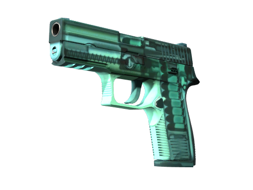 Genuine P250 | X-Ray