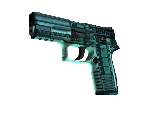 P250 | X-Ray